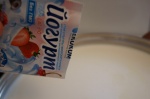 Йогурт и другие кисломолочные продукты в духовке